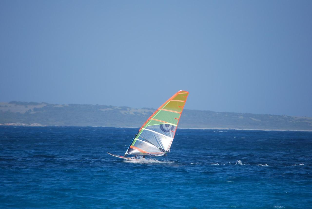 Ocean Sxm Studio Cul de Sac Εξωτερικό φωτογραφία