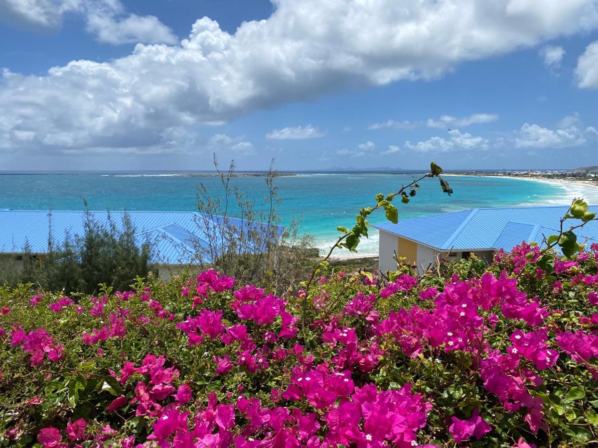 Ocean Sxm Studio Cul de Sac Εξωτερικό φωτογραφία