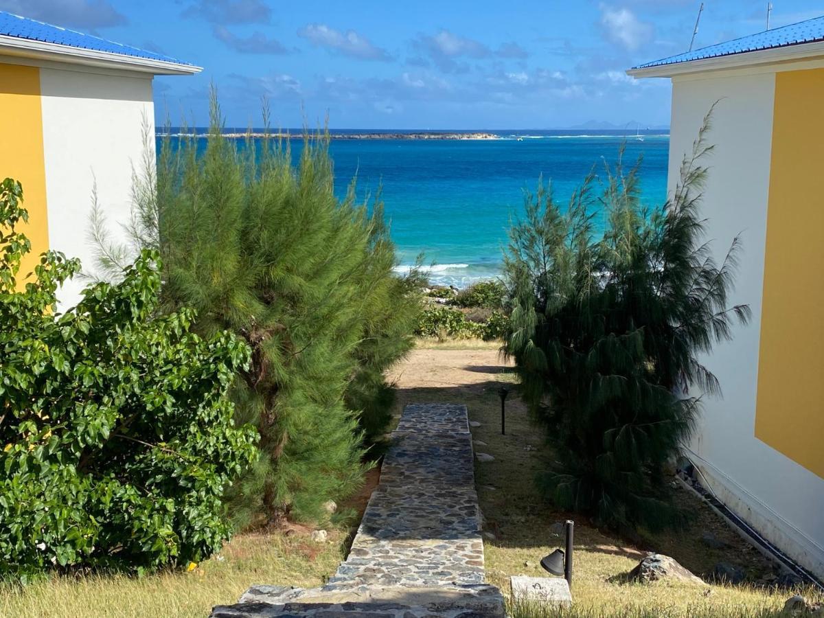 Ocean Sxm Studio Cul de Sac Εξωτερικό φωτογραφία